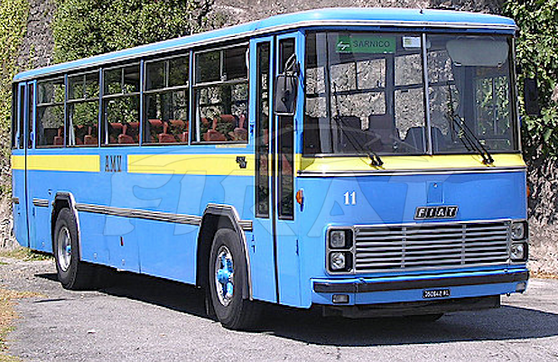 FIAT BUS 308